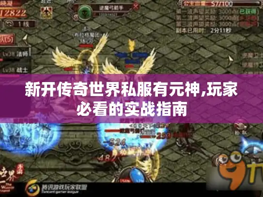 新开传奇世界私服有元神,玩家必看的实战指南
