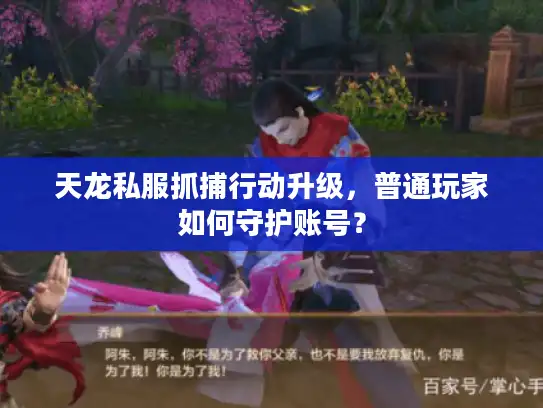 天龙私服抓捕行动升级，普通玩家如何守护账号？