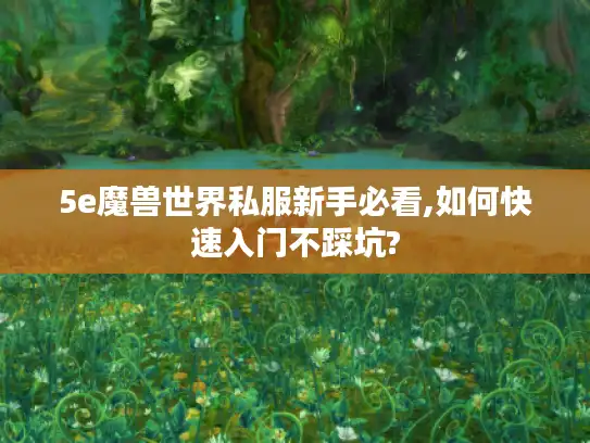 5e魔兽世界私服新手必看,如何快速入门不踩坑?