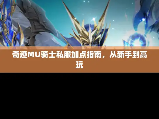 奇迹MU骑士私服加点指南，从新手到高玩