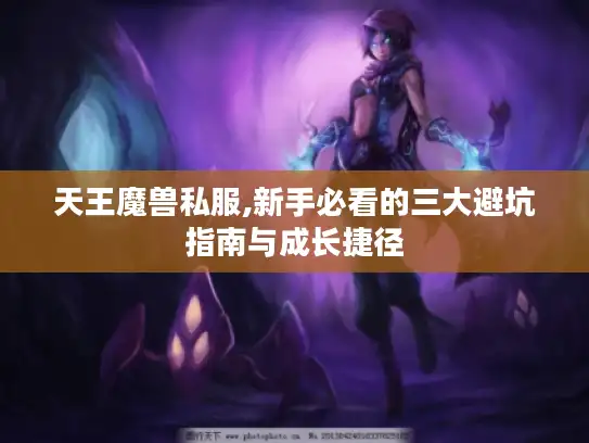 天王魔兽私服,新手必看的三大避坑指南与成长捷径