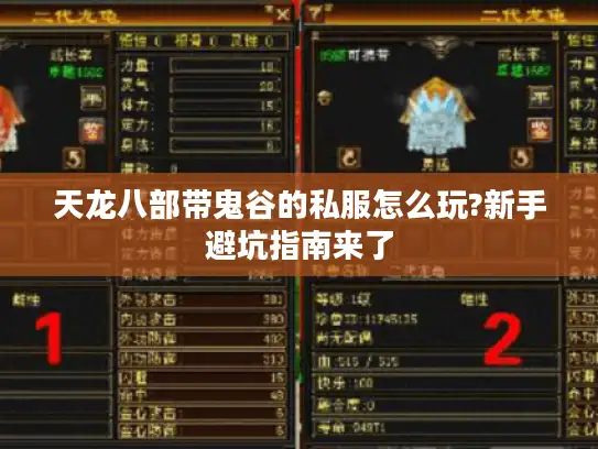 天龙八部带鬼谷的私服怎么玩?新手避坑指南来了