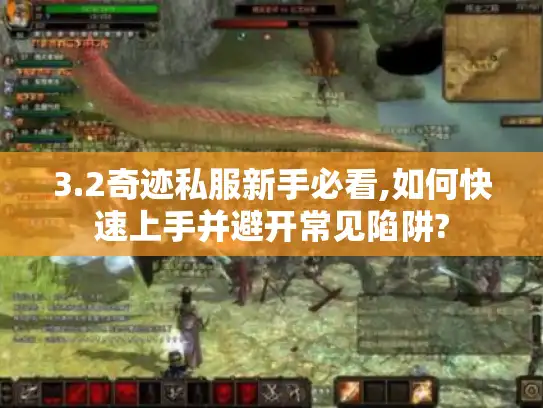 3.2奇迹私服新手必看,如何快速上手并避开常见陷阱?