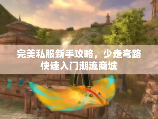 完美私服新手攻略，少走弯路快速入门潮流商城