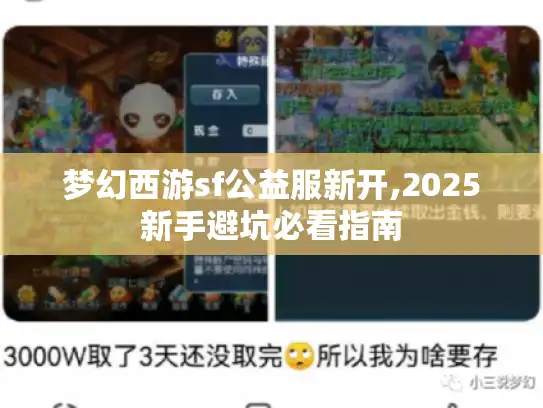 梦幻西游sf公益服新开,2025新手避坑必看指南