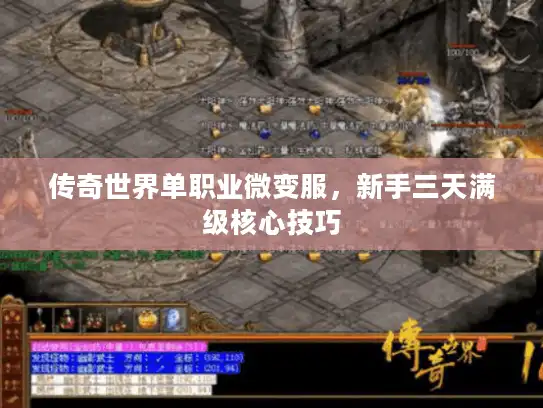 传奇世界单职业微变服，新手三天满级核心技巧