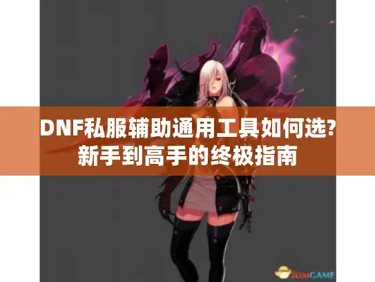 DNF私服辅助通用工具如何选?新手到高手的终极指南