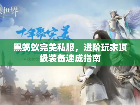 黑蚂蚁完美私服，进阶玩家顶级装备速成指南