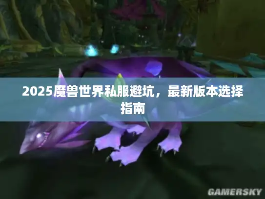 2025魔兽世界私服避坑，最新版本选择指南