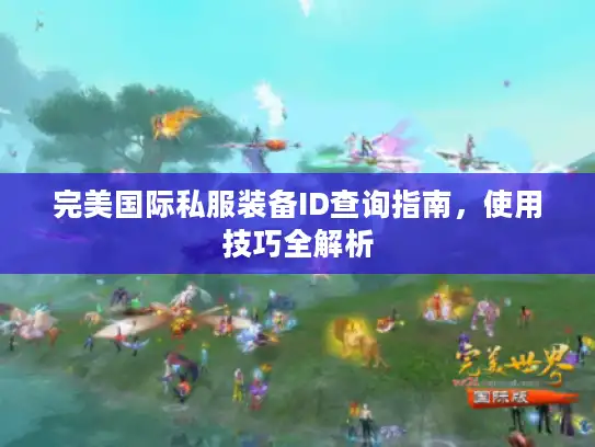 完美国际私服装备ID查询指南，使用技巧全解析