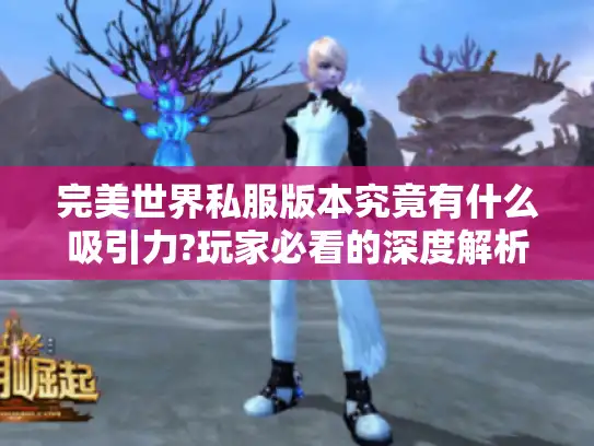 完美世界私服版本究竟有什么吸引力?玩家必看的深度解析