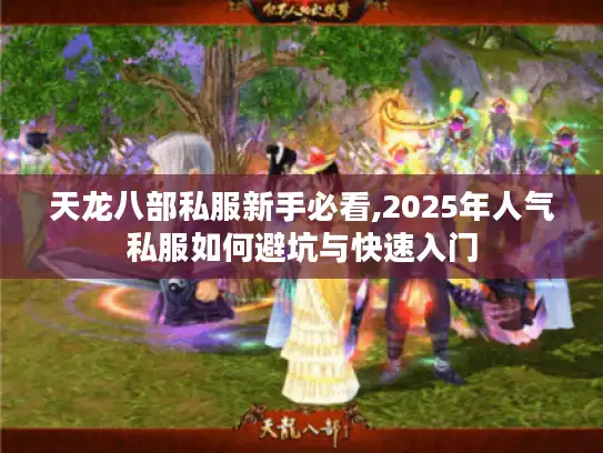天龙八部私服新手必看,2025年人气私服如何避坑与快速入门