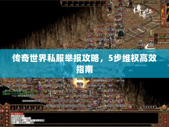 传奇世界私服举报攻略，5步维权高效指南