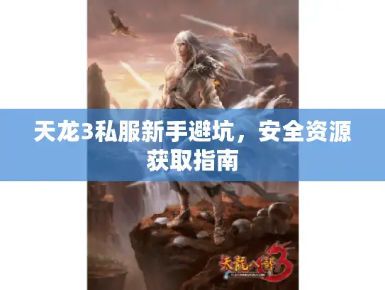 天龙3私服新手避坑，安全资源获取指南