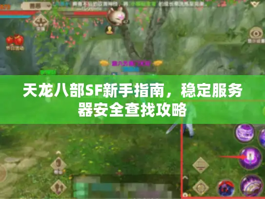 天龙八部SF新手指南,稳定服务器安全查找攻略 天龙八部SF新手指南,稳定服务器安全查找攻略