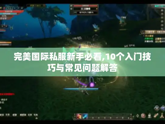 完美国际私服新手必看,10个入门技巧与常见问题解答