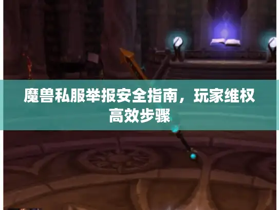 魔兽私服举报安全指南，玩家维权高效步骤