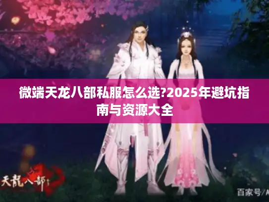 微端天龙八部私服怎么选?2025年避坑指南与资源大全