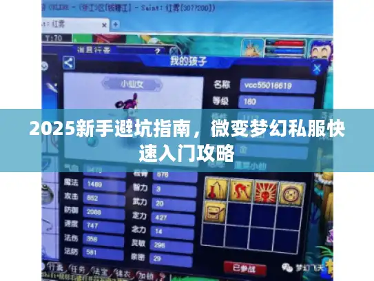 2025新手避坑指南,微变梦幻私服快速入门攻略 2025新手避坑指南,微变梦幻私服快速入门攻略
