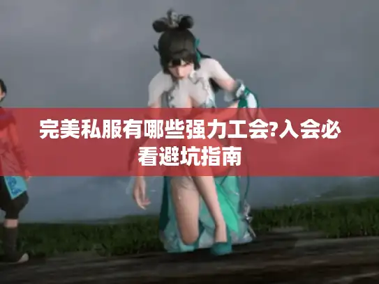 完美私服有哪些强力工会?入会必看避坑指南