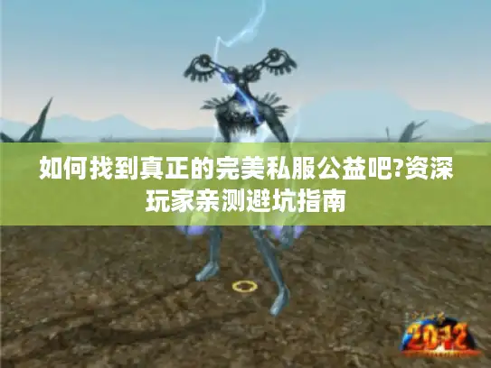 如何找到真正的完美私服公益吧?资深玩家亲测避坑指南 如何找到真正的完美私服公益吧?资深玩家亲测避坑指南