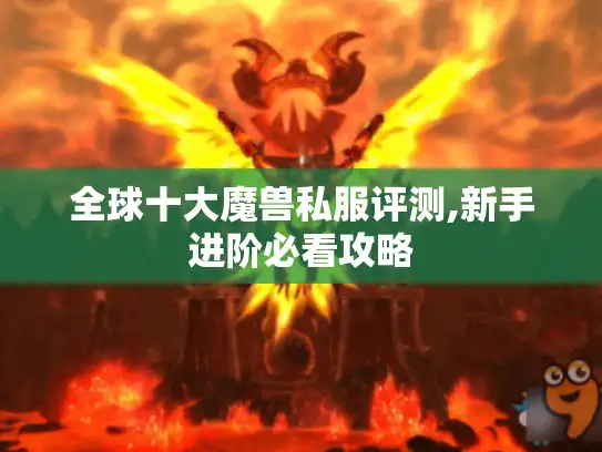 全球十大魔兽私服评测,新手进阶必看攻略