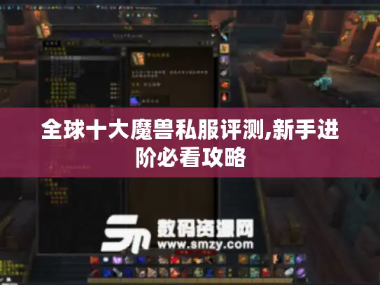 全球十大魔兽私服评测,新手进阶必看攻略