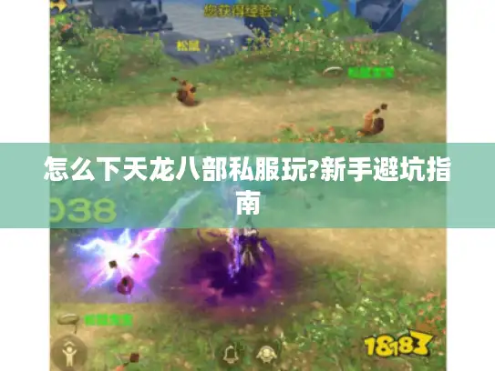 怎么下天龙八部私服玩?新手避坑指南
