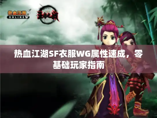热血江湖SF衣服WG属性速成，零基础玩家指南