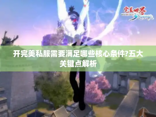 开完美私服需要满足哪些核心条件?五大关键点解析 开完美私服需要满足哪些核心条件?五大关键点解析