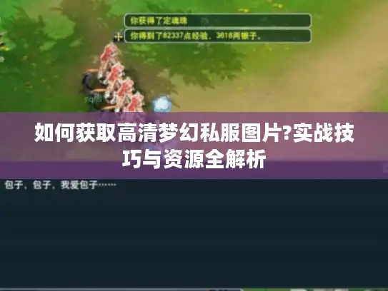 如何获取高清梦幻私服图片?实战技巧与资源全解析