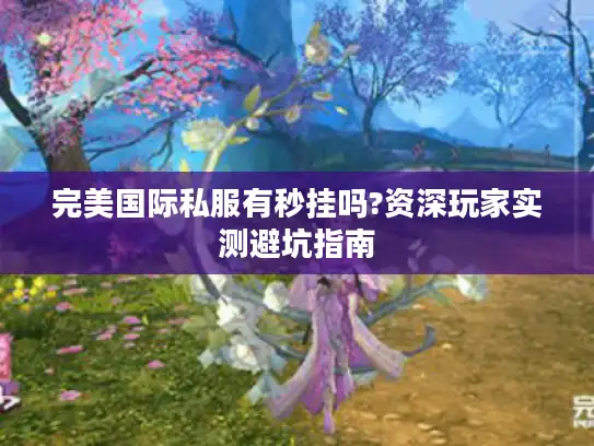 完美国际私服有秒挂吗?资深玩家实测避坑指南