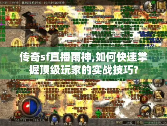 传奇sf直播雨神,如何快速掌握顶级玩家的实战技巧?