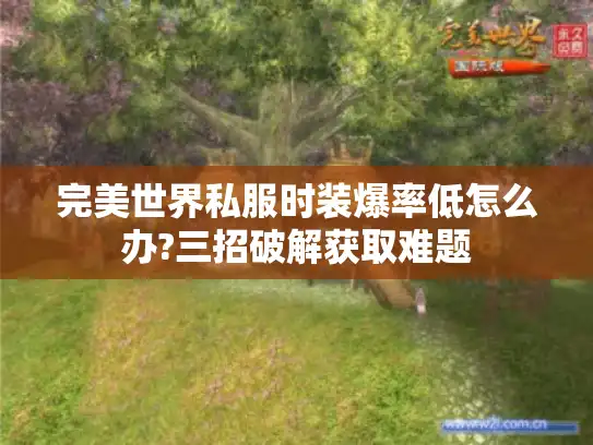 完美世界私服时装爆率低怎么办?三招破解获取难题