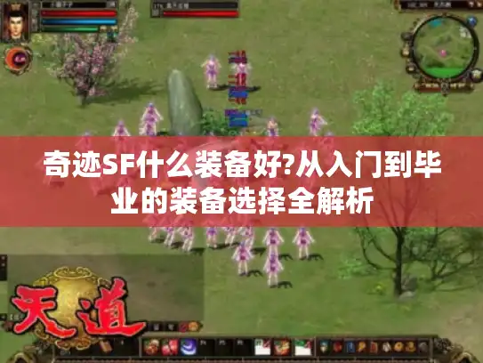 奇迹SF什么装备好?从入门到毕业的装备选择全解析 奇迹SF什么装备好?从入门到毕业的装备选择全解析