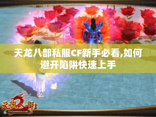 天龙八部私服CF新手必看,如何避开陷阱快速上手