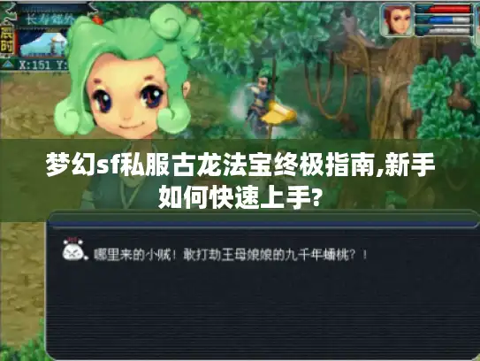 梦幻sf私服古龙法宝终极指南,新手如何快速上手?