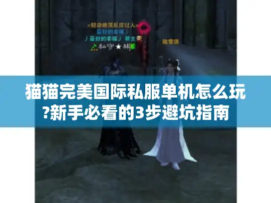 猫猫完美国际私服单机怎么玩?新手必看的3步避坑指南