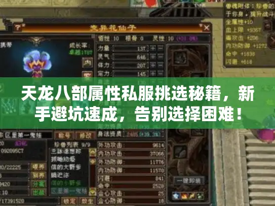 天龙八部属性私服挑选秘籍，新手避坑速成，告别选择困难！