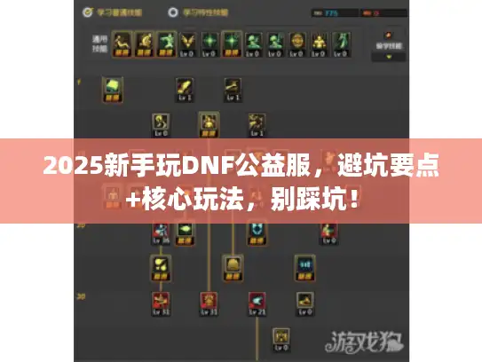 2025新手玩DNF公益服，避坑要点+核心玩法，别踩坑！