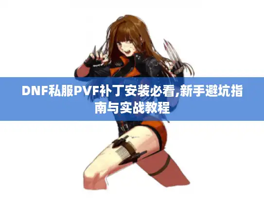 DNF私服PVF补丁安装必看,新手避坑指南与实战教程 DNF私服PVF补丁安装必看,新手避坑指南与实战教程