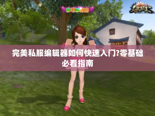 完美私服编辑器如何快速入门?零基础必看指南
