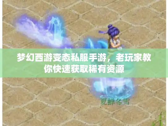 梦幻西游变态私服手游，老玩家教你快速获取稀有资源