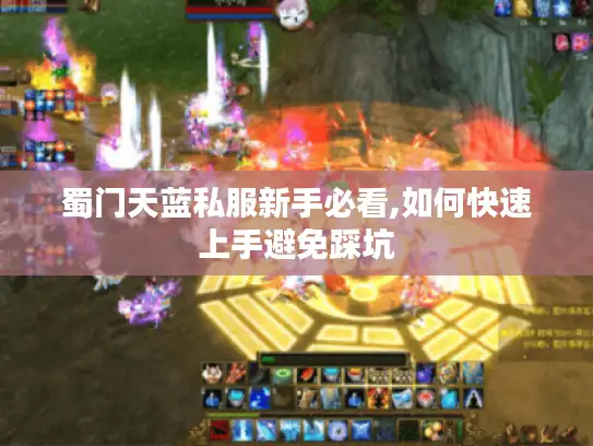 蜀门天蓝私服新手必看,如何快速上手避免踩坑