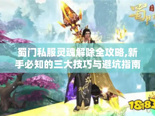 蜀门私服灵魂解除全攻略,新手必知的三大技巧与避坑指南