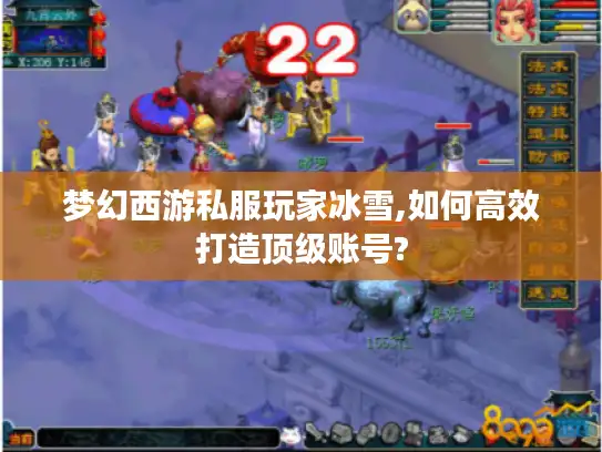 梦幻西游私服玩家冰雪,如何高效打造顶级账号?