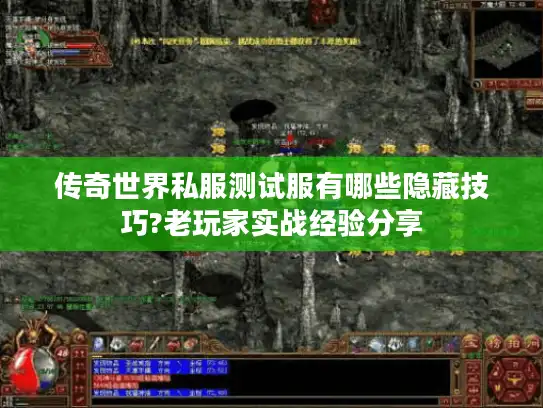 传奇世界私服测试服有哪些隐藏技巧?老玩家实战经验分享