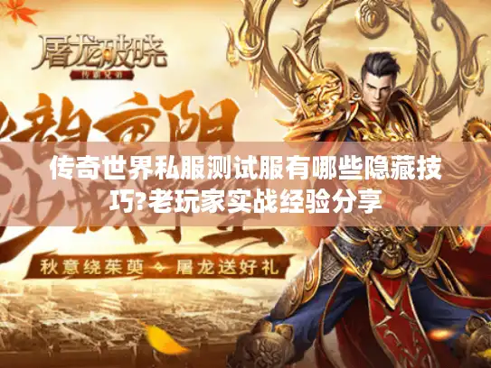 传奇世界私服测试服有哪些隐藏技巧?老玩家实战经验分享