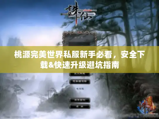 桃源完美世界私服新手必看，安全下载&快速升级避坑指南
