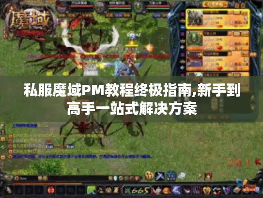 私服魔域PM教程终极指南,新手到高手一站式解决方案 私服魔域PM教程终极指南,新手到高手一站式解决方案